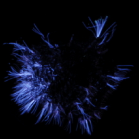 Long exposure of high voltage sparks on a foil ball. The high voltage was reached by using voltage multipliers, if I remember correctly. I used this image for many years as my primary avatar online.
